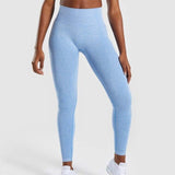 Seamless Leggings